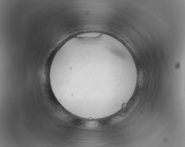 X0000116340355201001131050