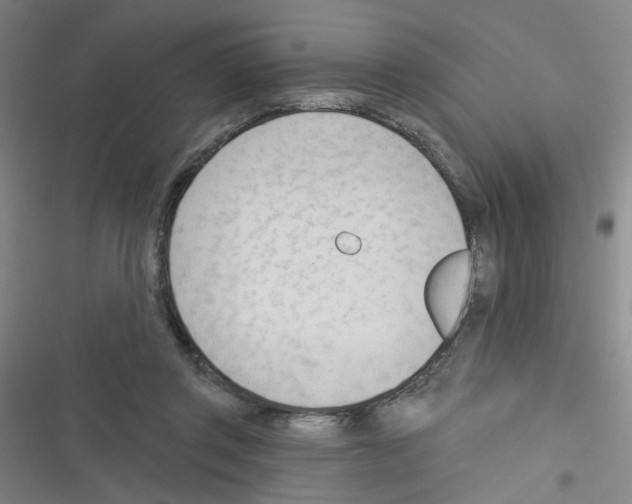 X0000116340357201001131050