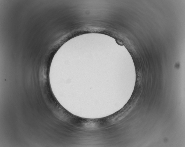 X0000116340358201001131050