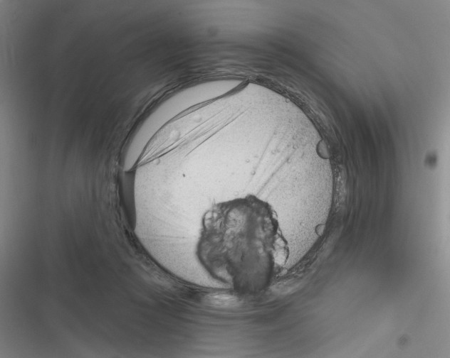 X0000116340361201001131050