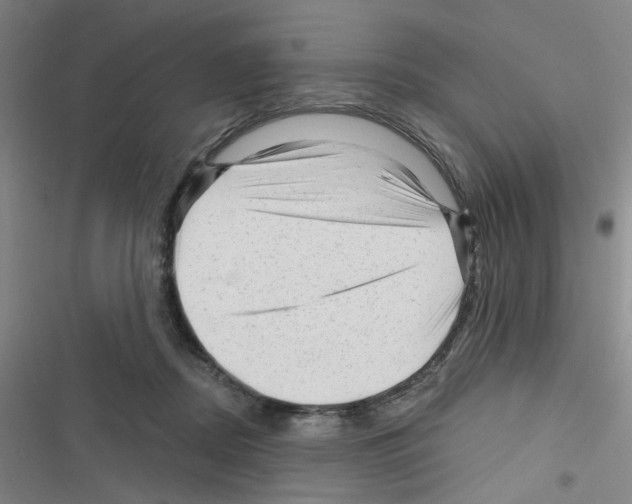 X0000116340362201001131050