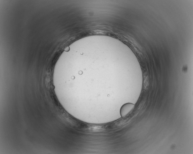 X0000116340365201001131050