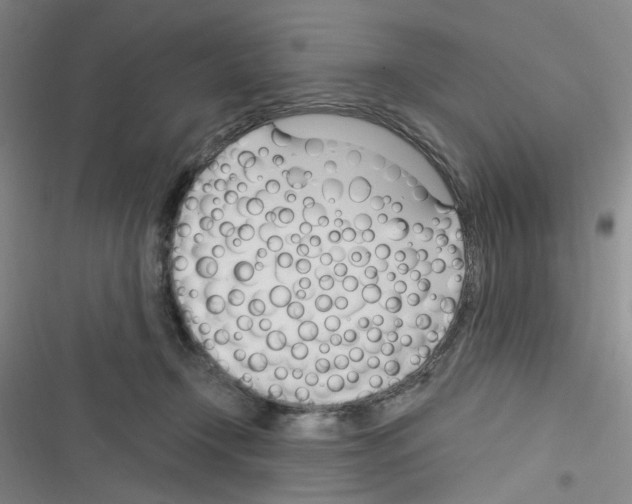 X0000116340366201001131050