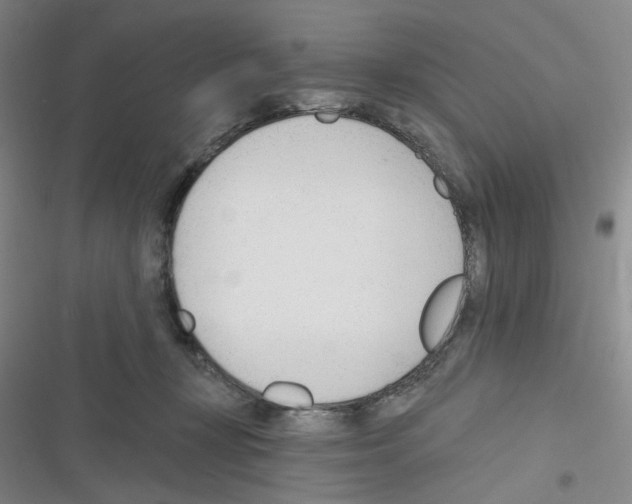 X0000116340367201001131050