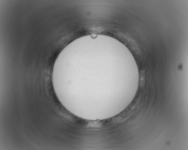 X0000116340369201001131050