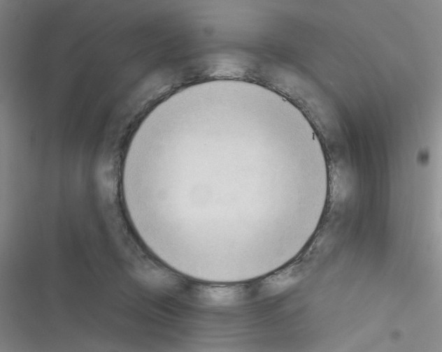 X0000116340370201001131050