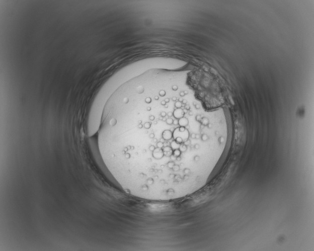 X0000116340371201001131050