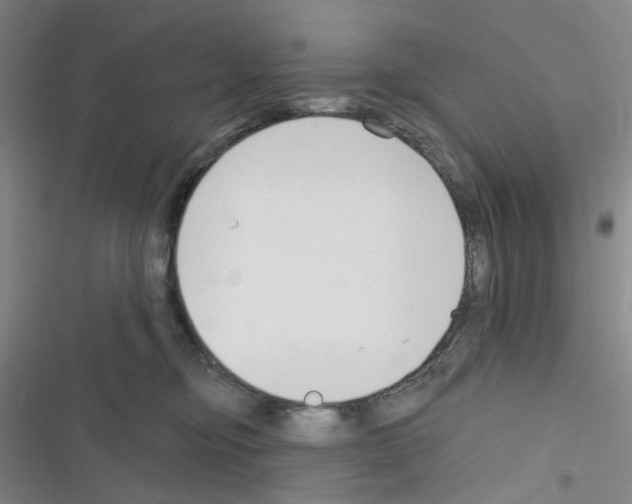 X0000116340374201001131050