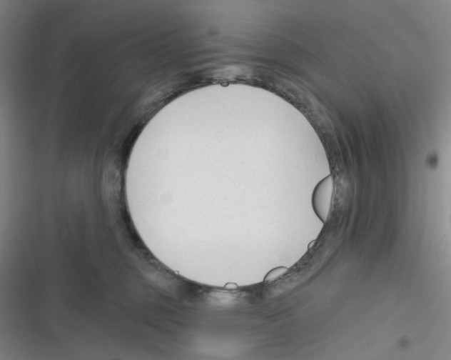 X0000116340375201001131050