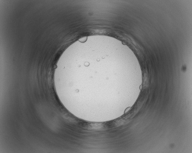 X0000116340377201001131050