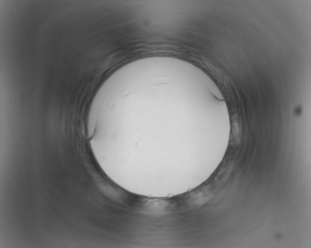 X0000116340379201001131050