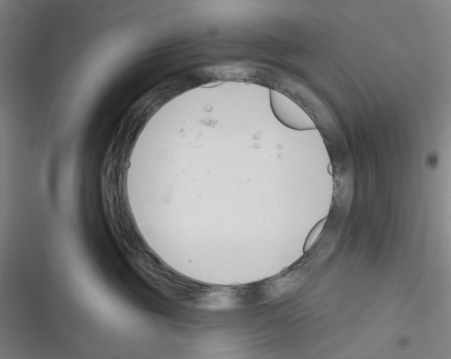 X0000116340381201001131050