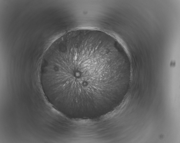 X0000116340385201001131050