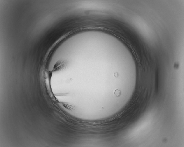 X0000116340387201001131050