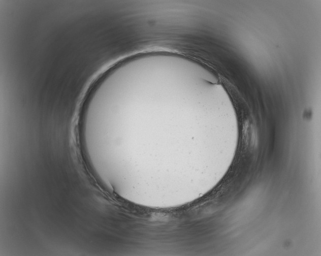 X0000116340388201001131050