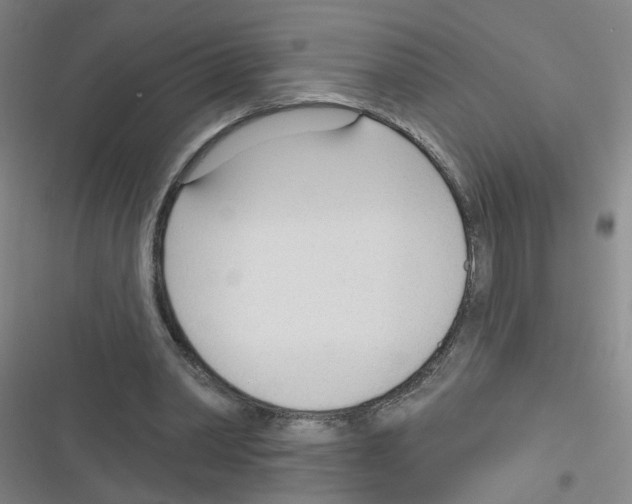 X0000116340390201001131050