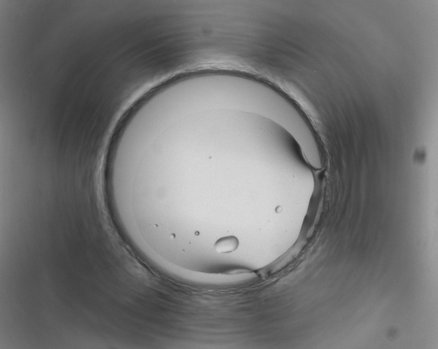 X0000116340391201001131050