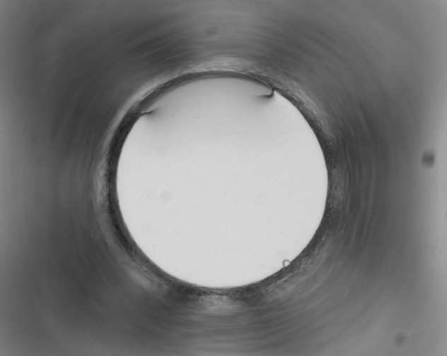 X0000116340392201001131050