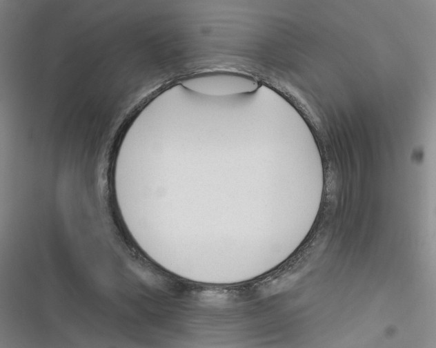 X0000116340394201001131050