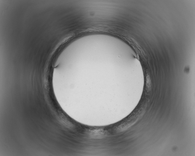 X0000116340396201001131049