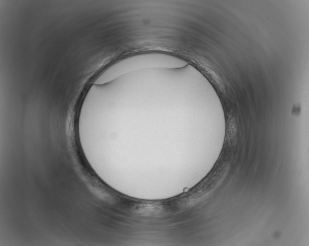 X0000116340398201001131049