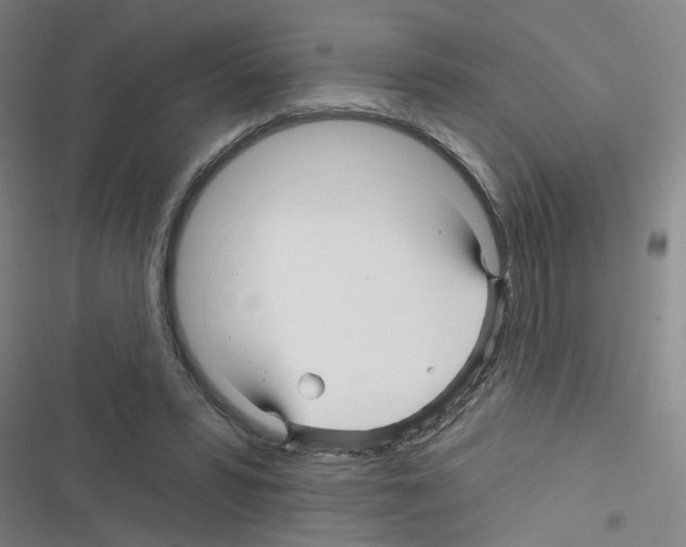 X0000116340399201001131049