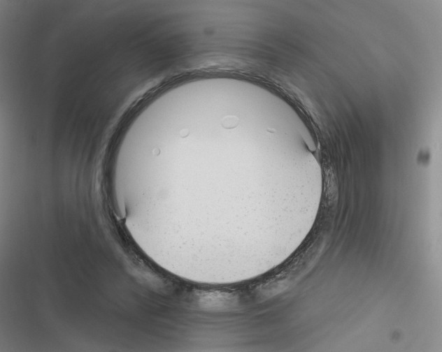 X0000116340400201001131049