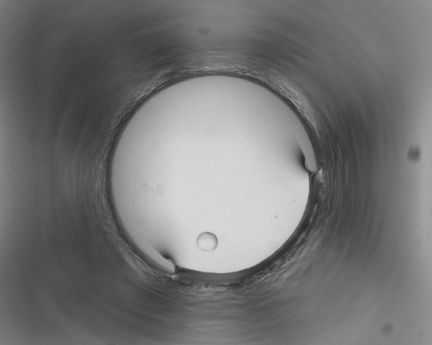 X0000116340401201001131049