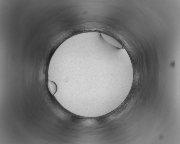 X0000116340402201001131049