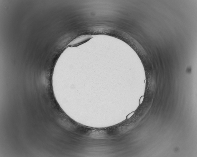 X0000116340403201001131049