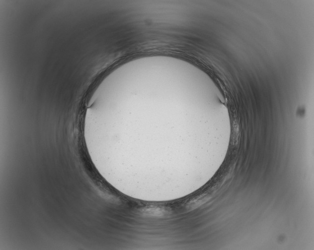 X0000116340404201001131049