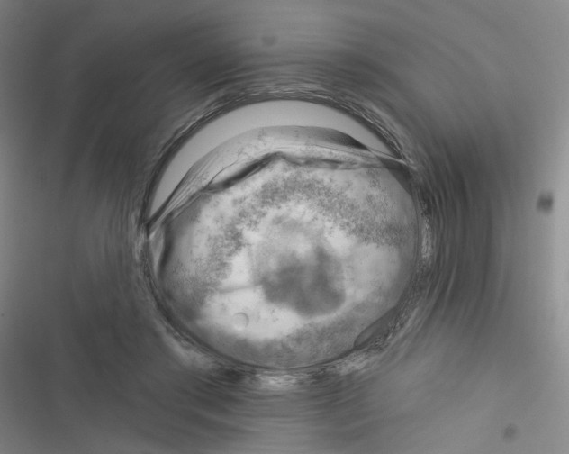 X0000116340405201001131049