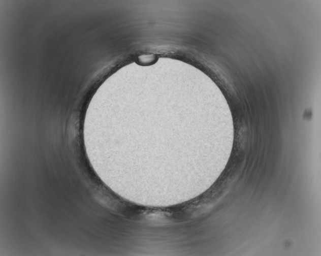 X0000116340407201001131049