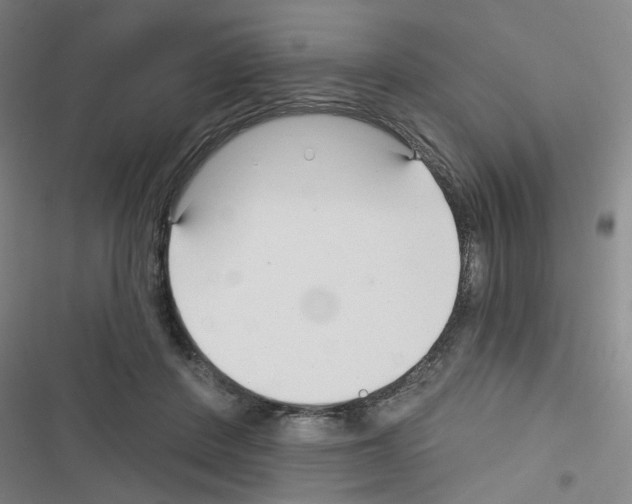 X0000116340408201001131049