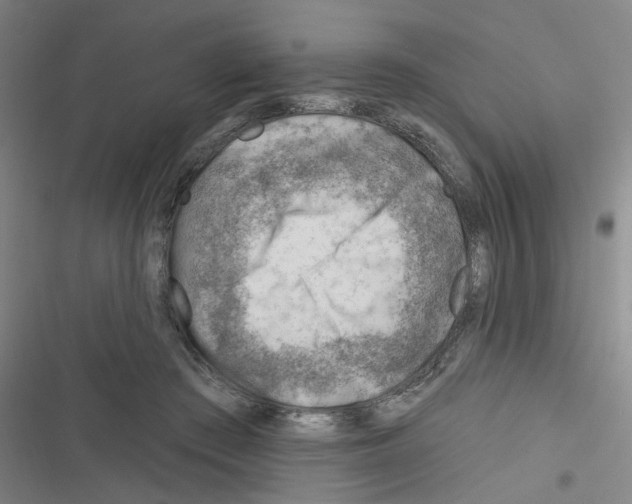 X0000116340409201001131049