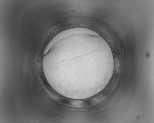 X0000116340410201001131049