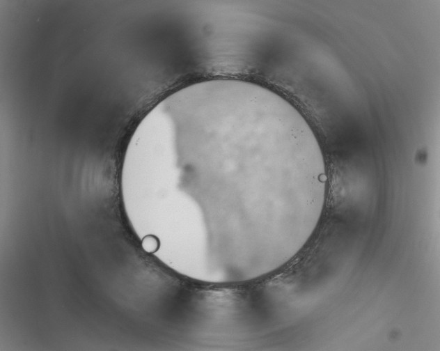 X0000116340411201001131049