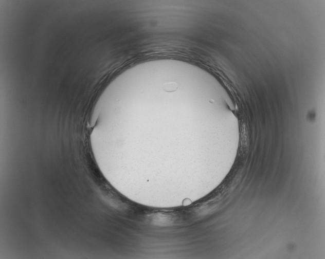 X0000116340412201001131049