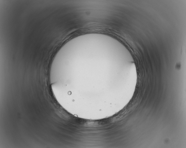 X0000116340413201001131049