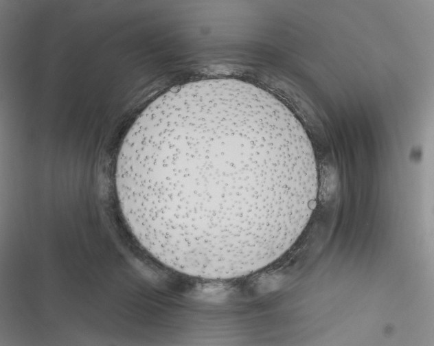 X0000116340414201001131049