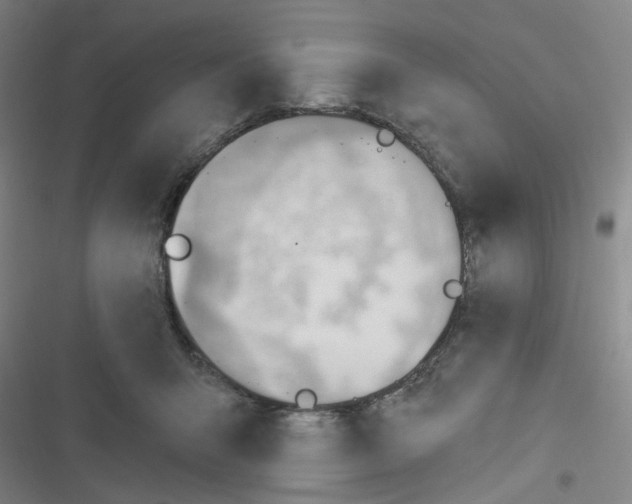 X0000116340415201001131049