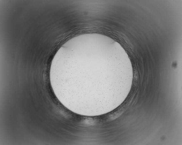 X0000116340416201001131049