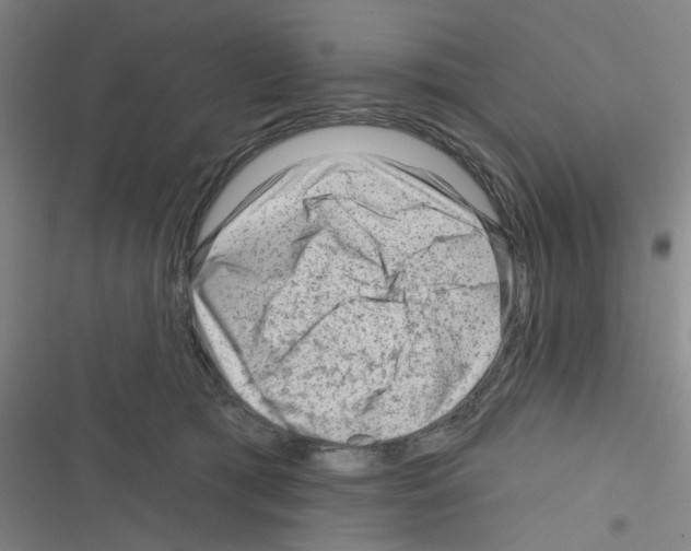 X0000116340417201001131049