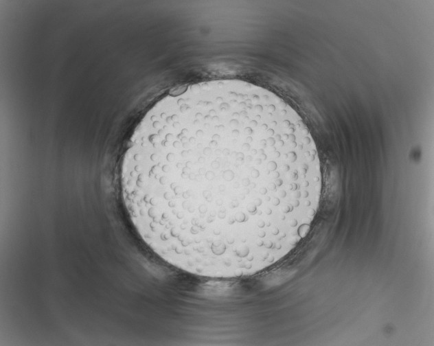 X0000116340418201001131049