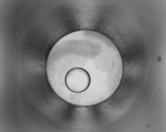 X0000116340419201001131049