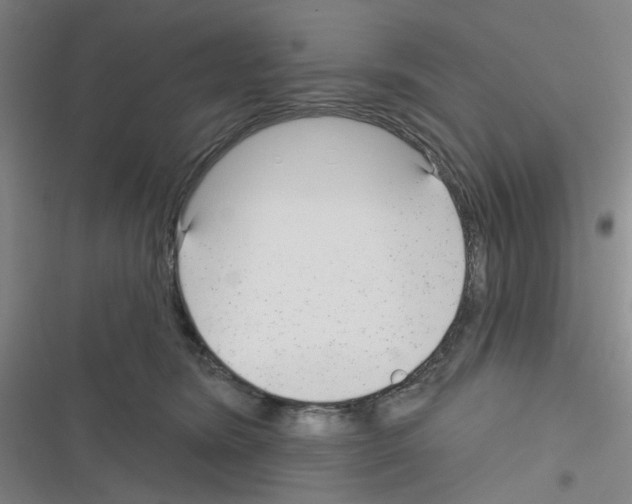 X0000116340420201001131049