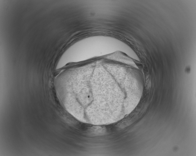 X0000116340421201001131049