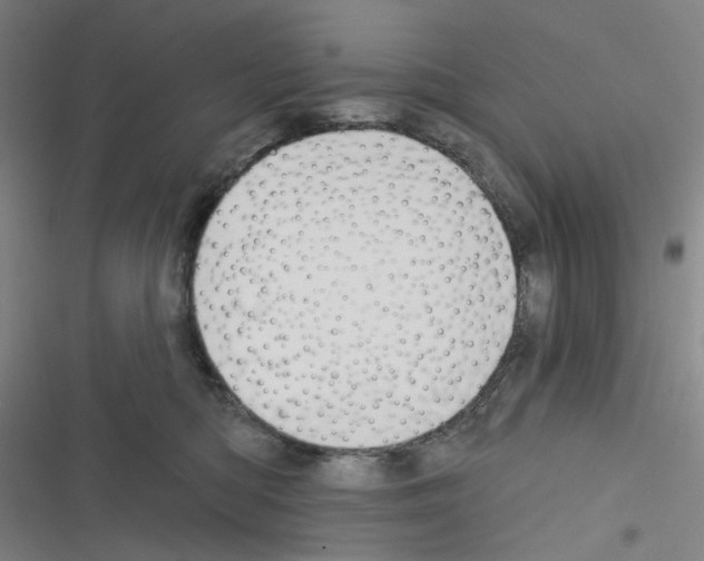 X0000116340422201001131049