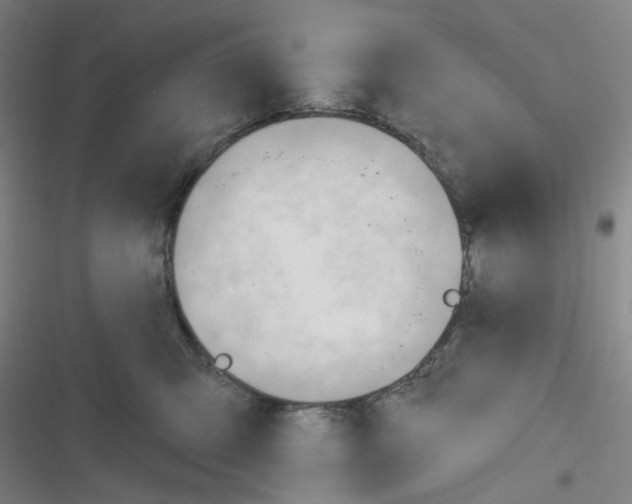 X0000116340423201001131049