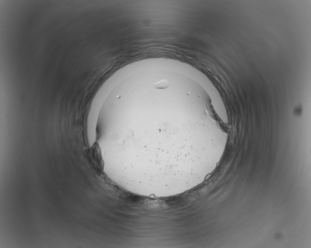 X0000116340424201001131049